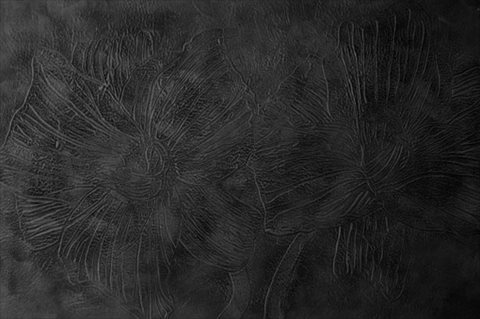 Untitled [Lilies] [2007] encaustic on canvas + ply 121x183 cm